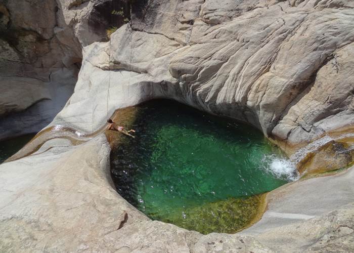 PISCINE NATURELLE