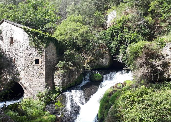 Résurgence de la Vis au moulin de la Foux