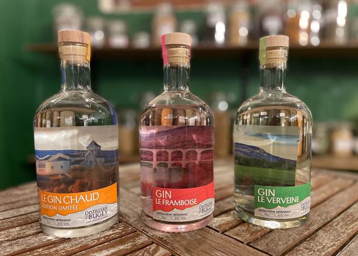 Découvrez la Distillerie du Bugey : gin artisanal et ateliers dégustation pour une expérience unique !