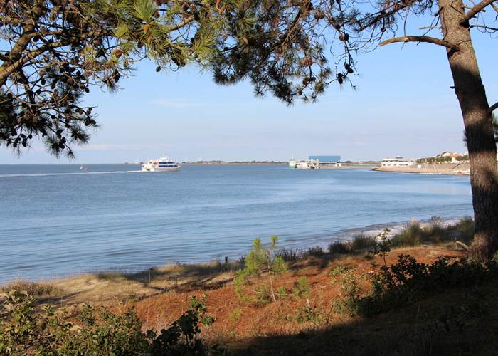 fromentine-labarredemonts (3)