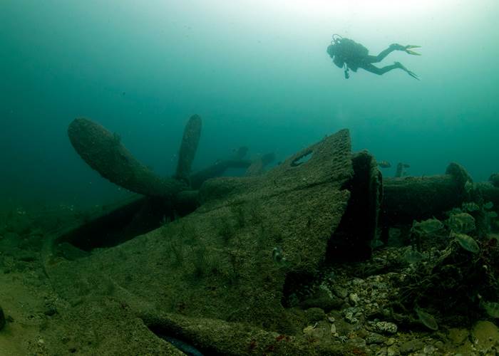 Plongée sous-marine - île d'Oléron