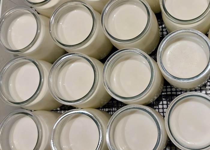 Yaourts Maison du Petit-Déjeuner / Domaine Cardu Corse