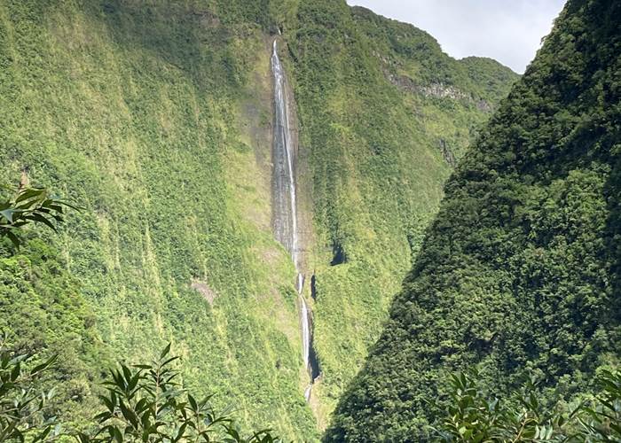 Cascade Blanche à Salazie