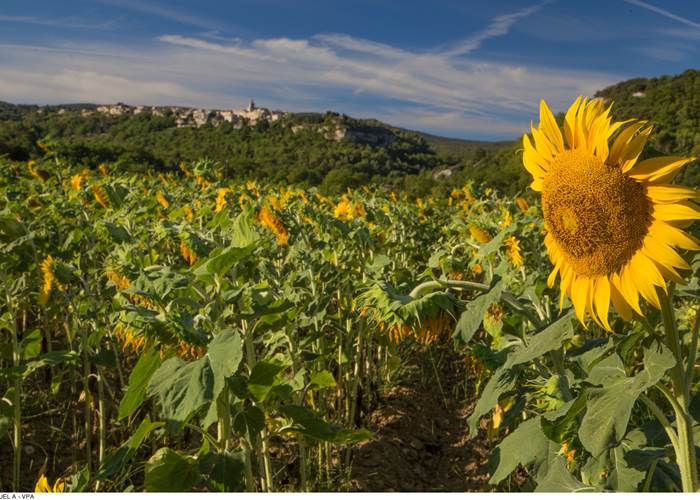 Village de Venasque. Copyright12050-Venasque_-HOCQUEL_A_-_VPA-1600px