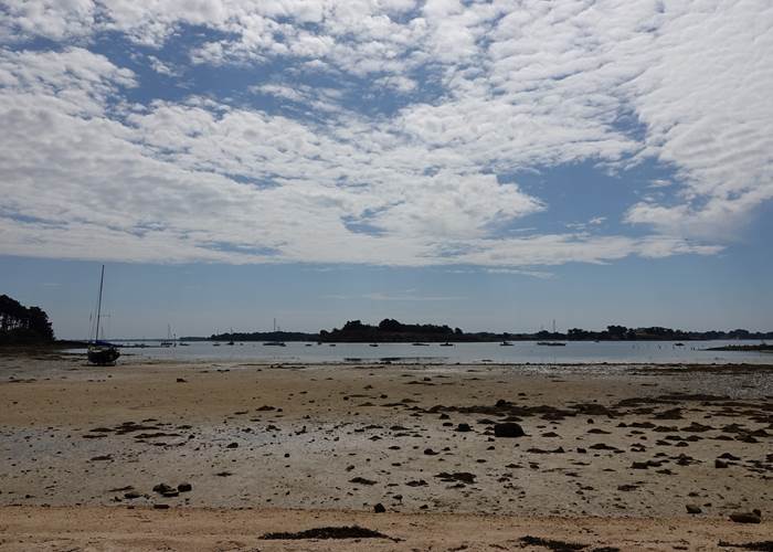Larmor Baden