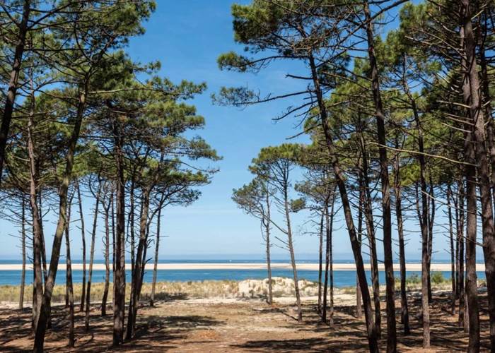 Un littoral de plus de 100 km et La plus vaste forêt de pins d’Europe