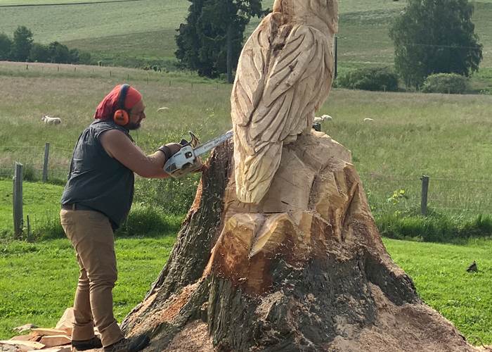 Les terres de la chouette, c'est le bois qui décide des lignes de la sculpture