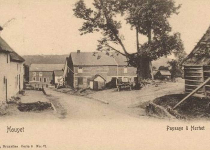 L'arbre de Ferage-news