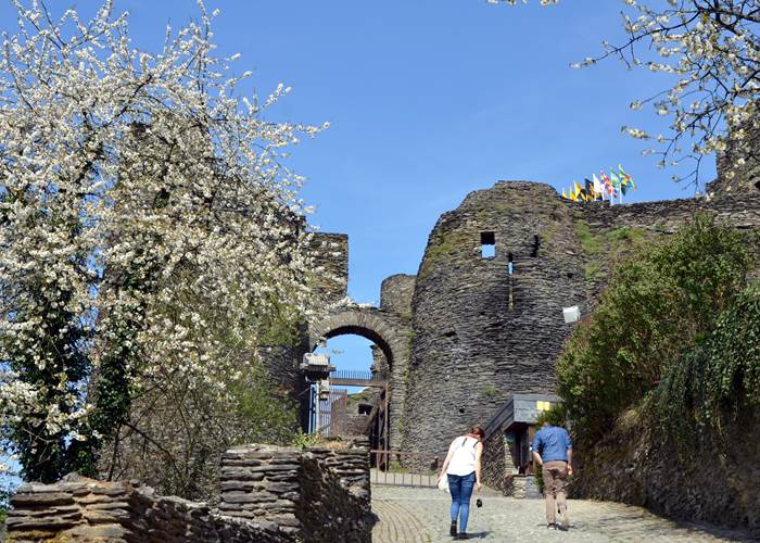 Château féodal de La Roche-en-Ardenne