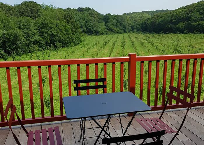 La terrasse panoramique