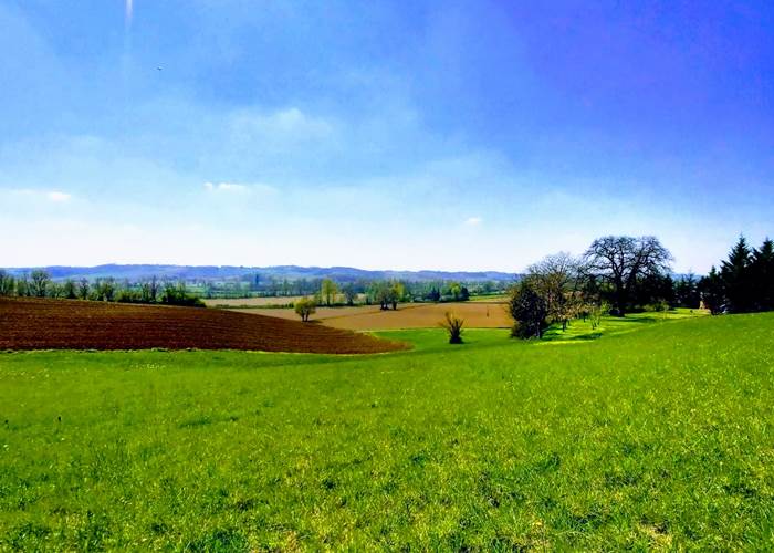 Campagne gersoise à la Cordillière