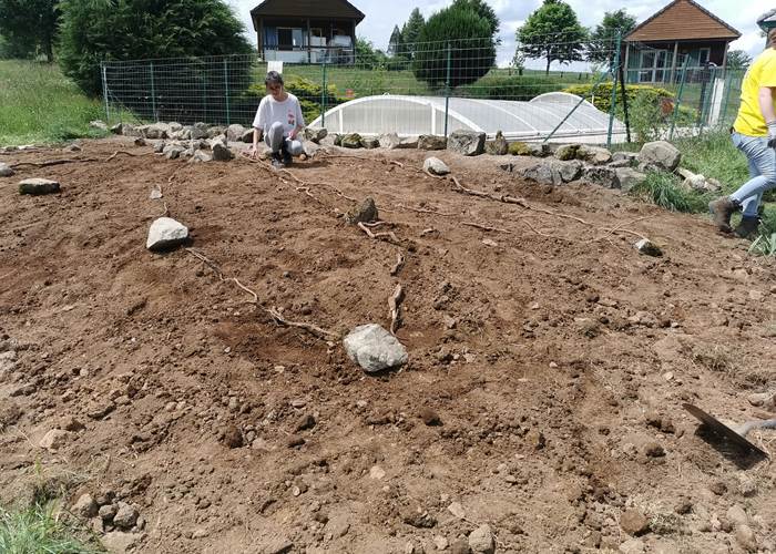 Le jardin des aromatiques des maisons de Coline