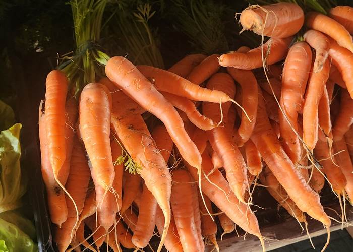 Au marché Limousin - Carottes