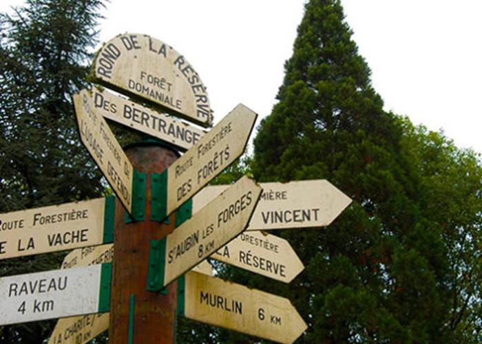 Rond point de « La Réserve » – Forêt des Bertranges