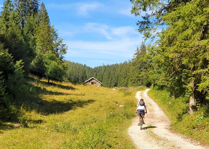 VTT ou Gravel dans les forêts du Haut-Jura
