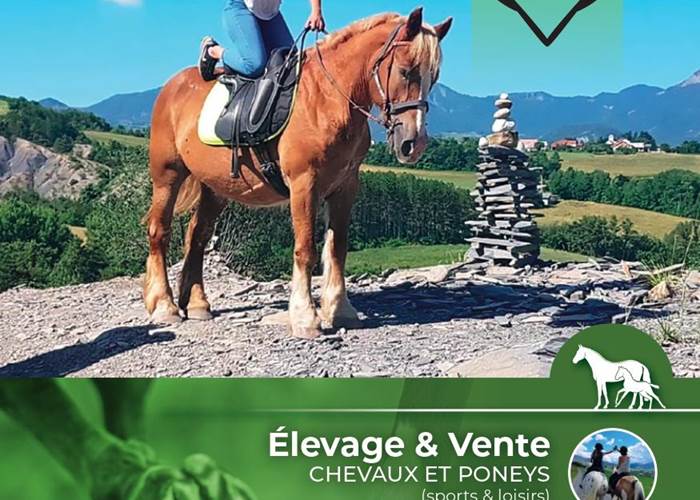 Ecuries les Pies du Sud - Rochebrune