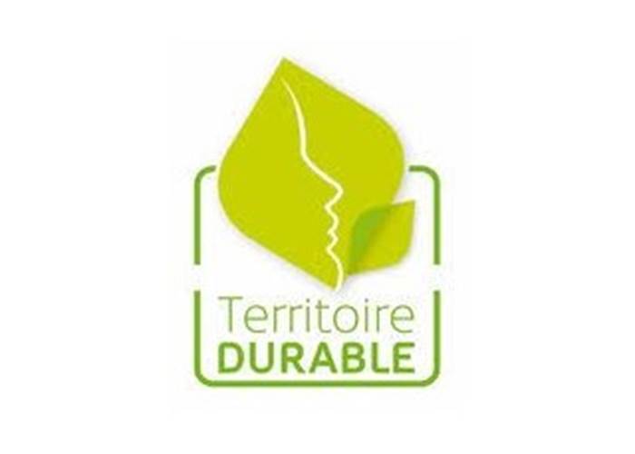 Sans titre
