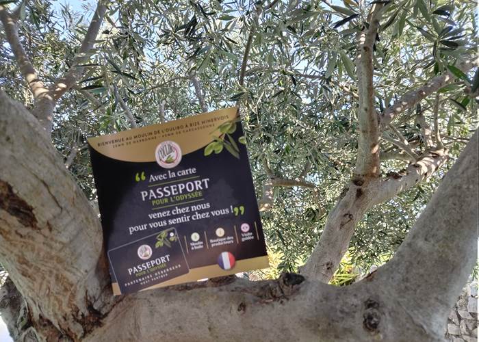 Carte avantages pour découvrir notre région lors de votre séjour à Le Coq du Nord-Mailhac