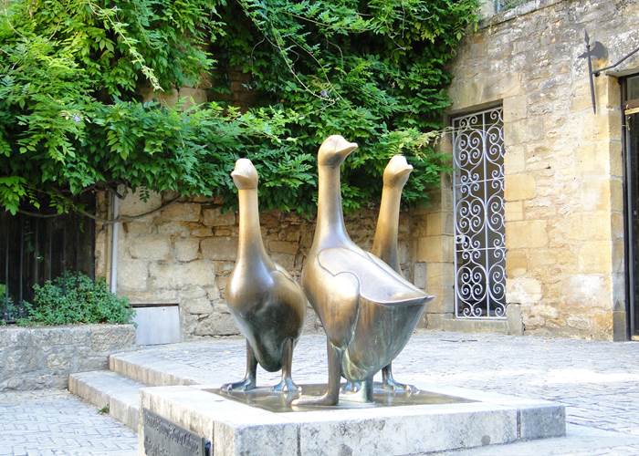les oies de Sarlat