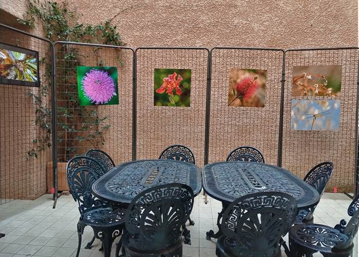 Expostion du club photos de Mailhac à Le Coq du Nord-Mailhac