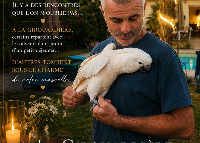 Sans titre