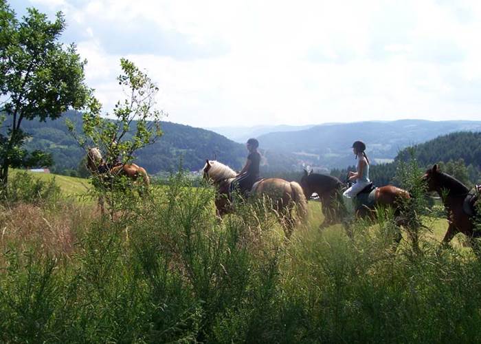 Randonnée équestre, Vosges-page