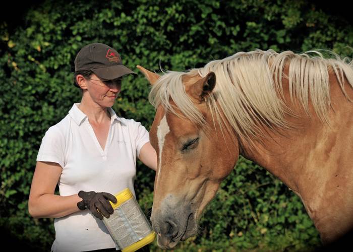 Premier contact-page