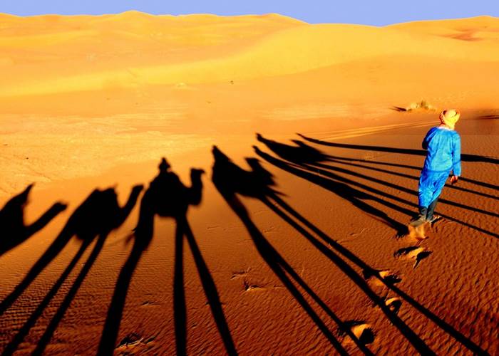 Randonnée chamelière