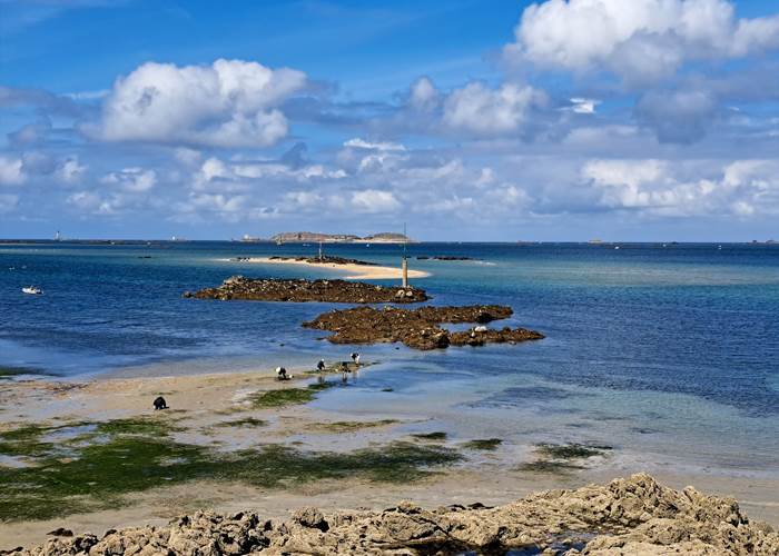 Dinard, Clos de la Fontaine, le paysage à marée basse (low tide)