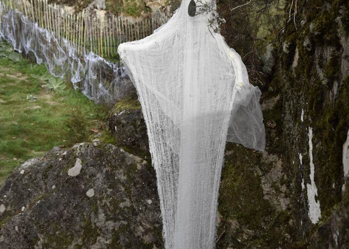 Fantômes Merle ©B.Bardi