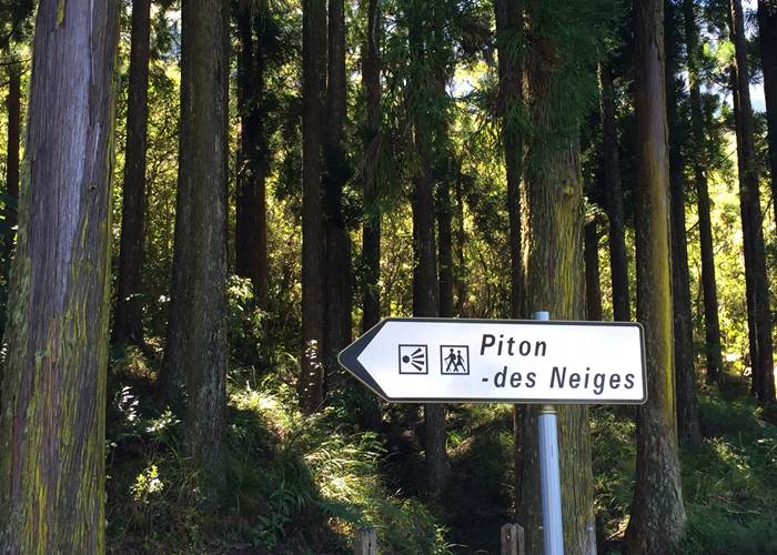 L'Orée du Maïdo - départ de randonnée vers le Piton des Neiges depuis Cilaos