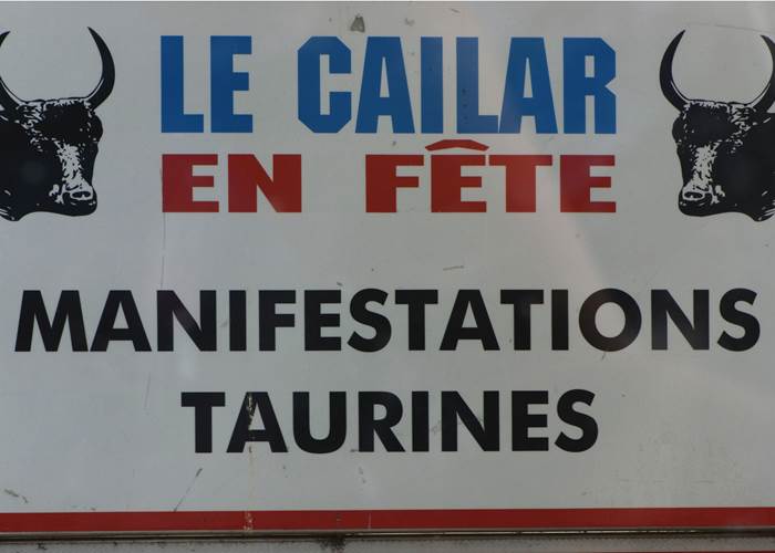Sans titre