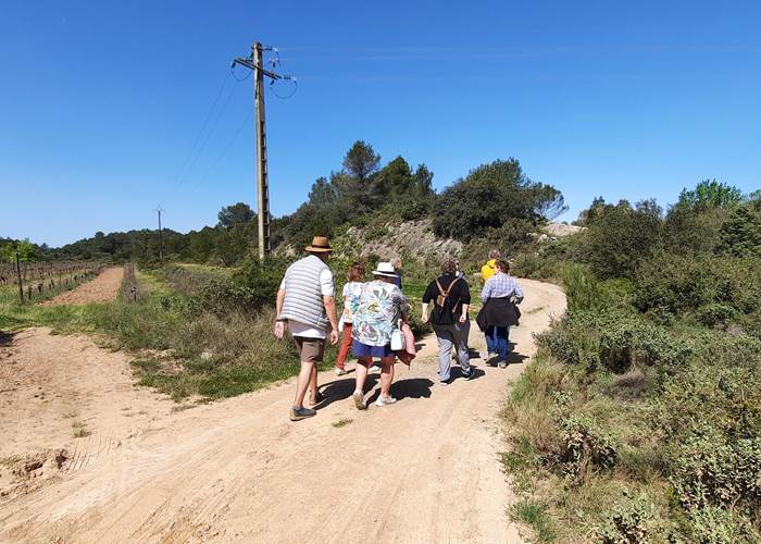 Première activité avec les vignerons Mailhacois 🍇 🍇 🍇
