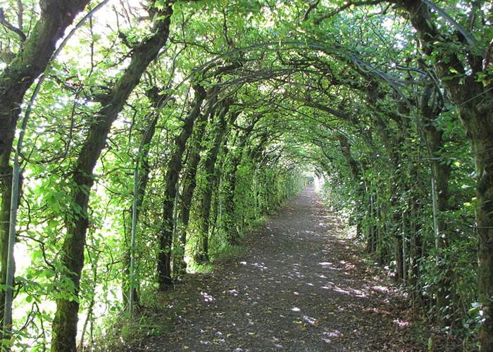 800px-Theux_-_la_Charmille