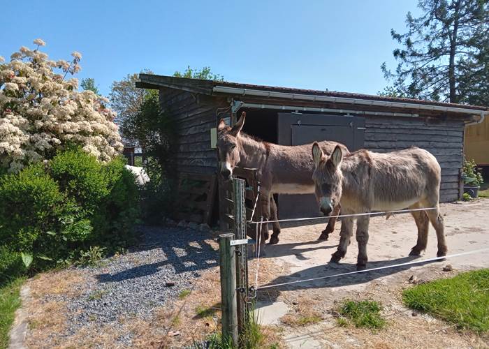 gîte côté jardin