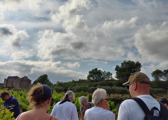 Les balades vigneronnes