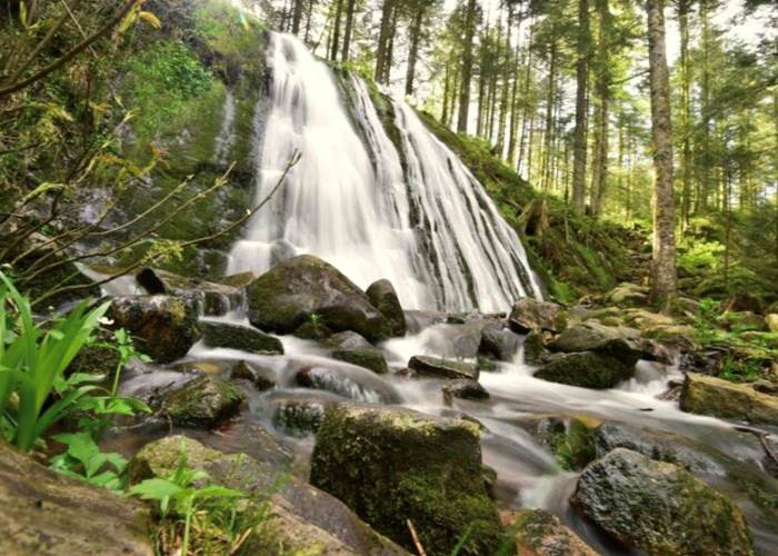 Cascade de la Pissoire, Vosges-page