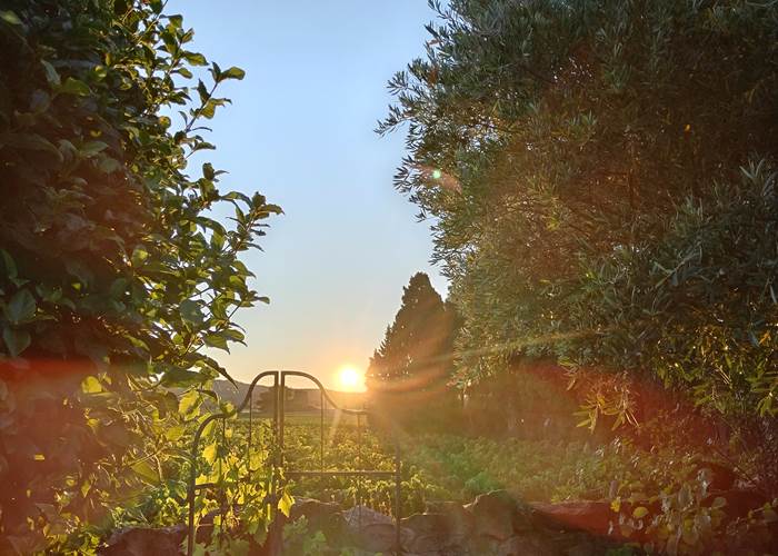 Les sublimes lever de soleil