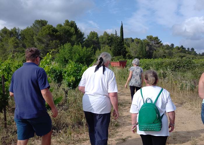 balade vigneronne au coeur des vignes du Domaine "La Tasque"