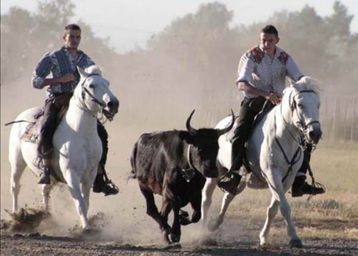 Soirée Camarguaise