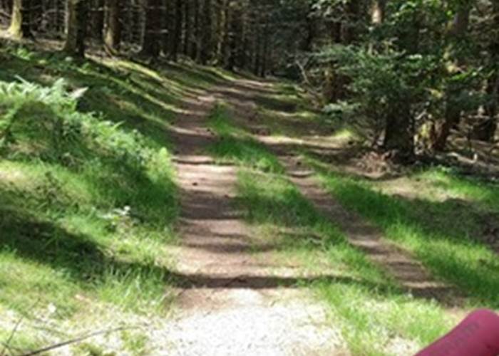 randonnéeenforêt-vtt-pédestre-hautecorrèze-activitésextérieurs