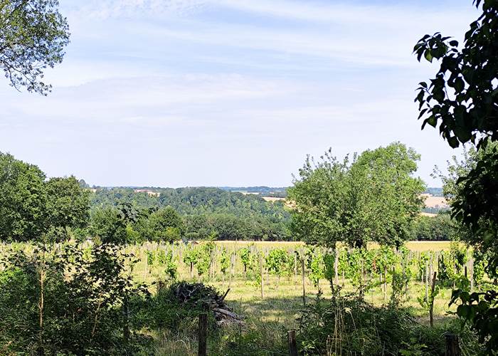 Le Gîtes du Ru de Biche - campagne champenoise