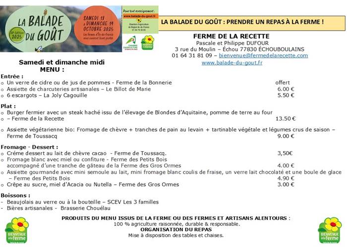 Sans titre