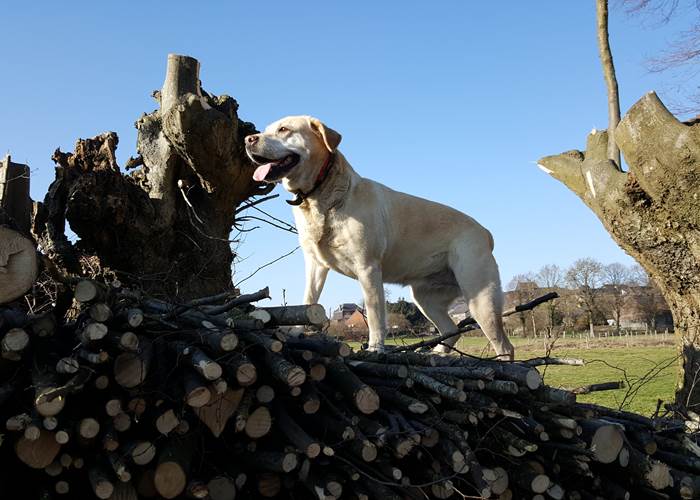 Ezzia qui vous a acceuilli pendant de nombreuses années