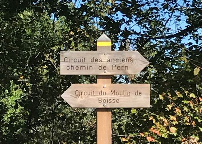 Sans titre