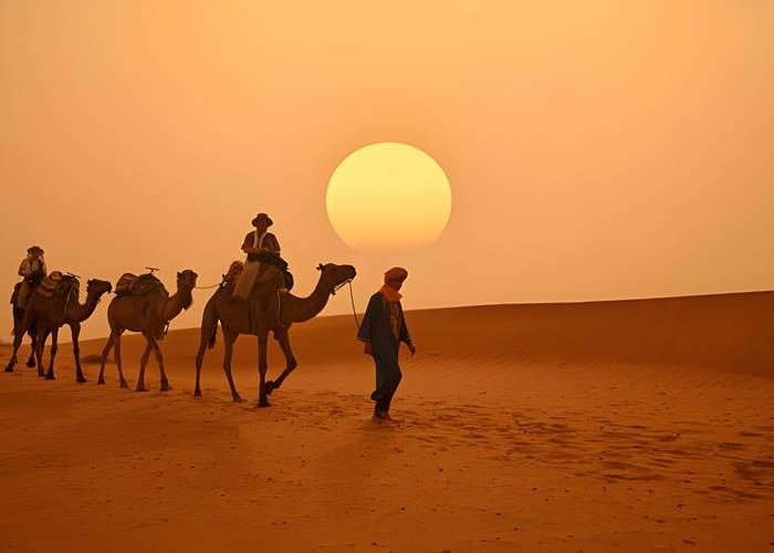 Camel ride