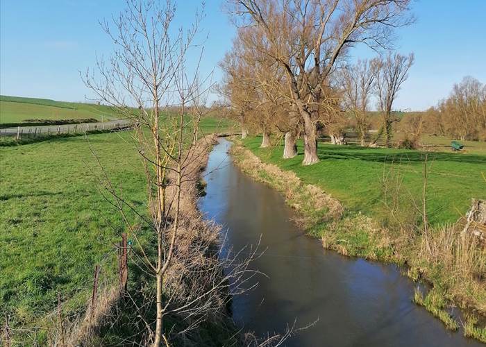 Flâner près de l'Escaut