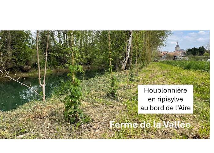 Parcourez nos parcelles en agriculture biologique