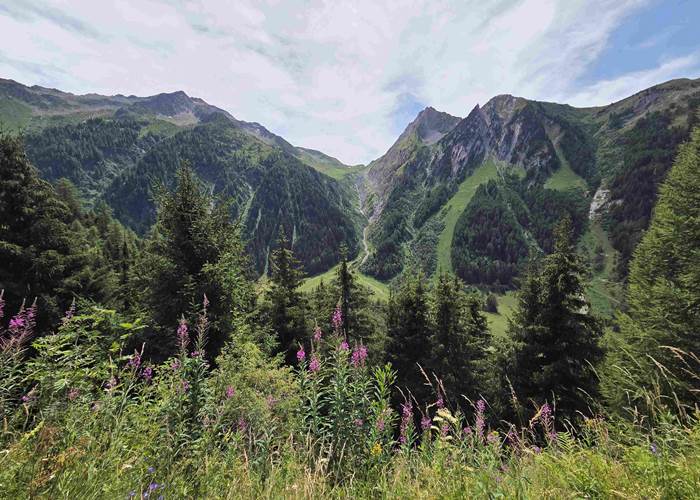Bisse du Trient