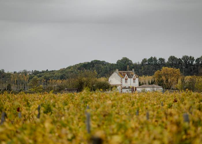 Vignoble, Bio, Biodynamie, Nature, Vins, Domaine, Visite, Dégustation